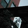 Looking Inward